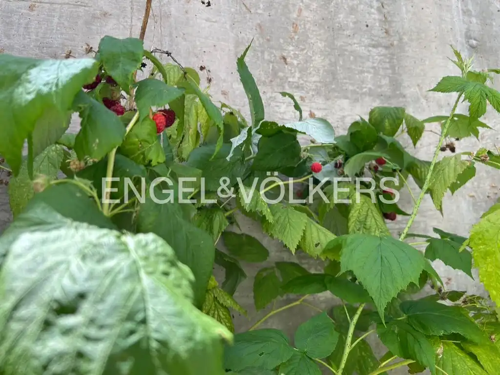 Planta baja de alquiler en Valdebebas - Valdefuentes