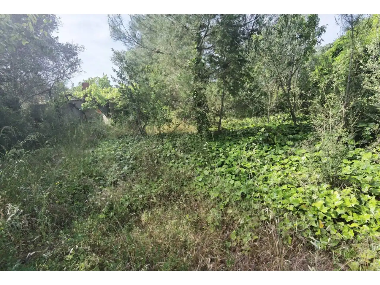 Terreny residencial en venda a Castellnou - Can Mir - Can Solà, imagen 6
