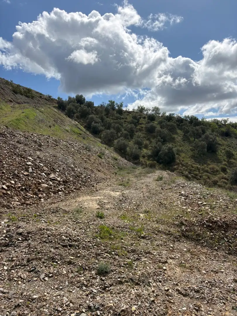 Terrenys i solars en venda a A-356, imagen 12