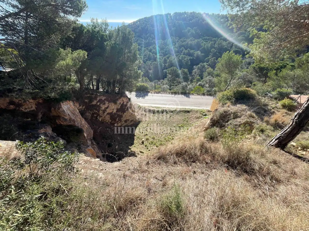 Terreno rustico in vendita a Santa Cristina, imagen 6