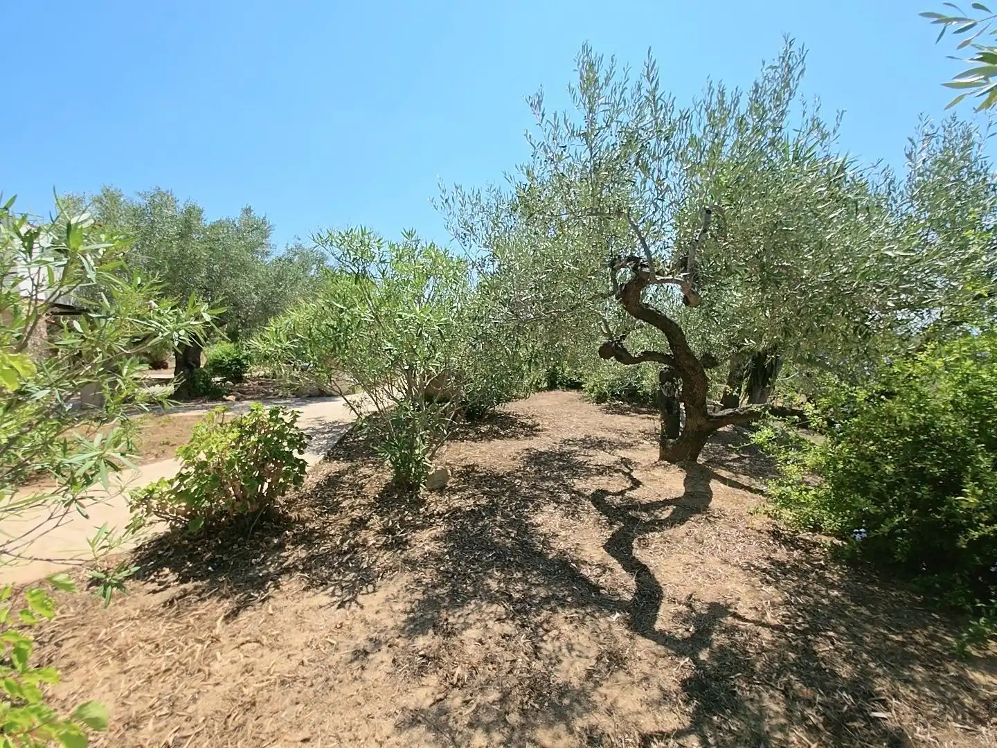Country house zum Verkauf in L'Ametlla de Mar  mit Privatgarten, Terrasse und Schwimmbad
