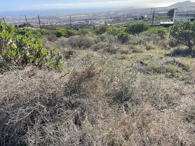 Land for sale in Telde