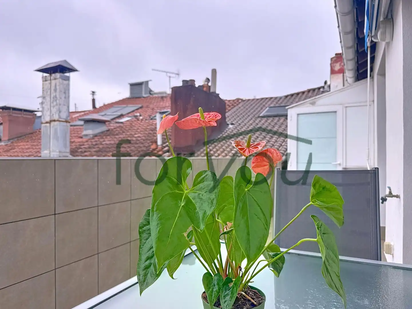 Terrassa de Àtic en venda en Donostia - San Sebastián  amb Aire condicionat, Calefacció i Terrassa