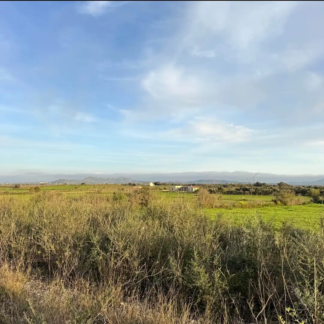 Terreno en venta en Vilafranca de Bonany