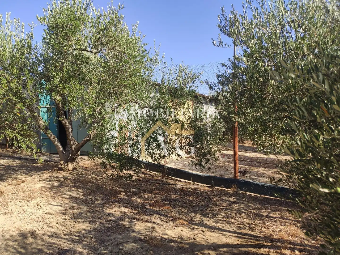 Rural land for sale in Guillena pueblo, imagen 12