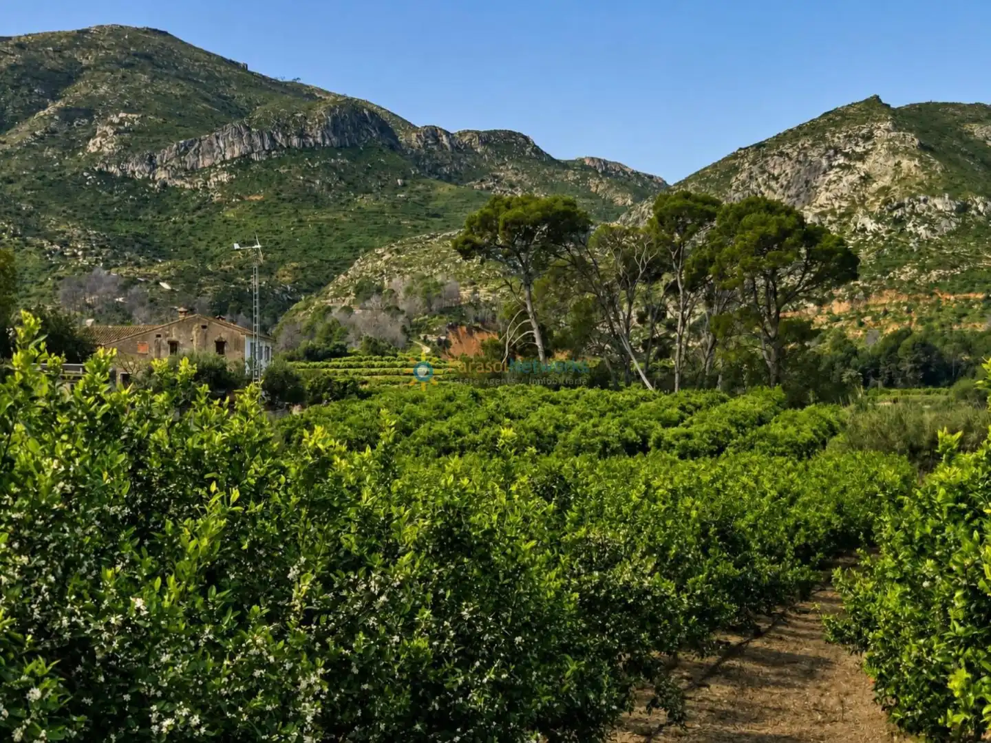 Chalet con jardín en venta en Castellonet de la Conquesta, imagen 24
