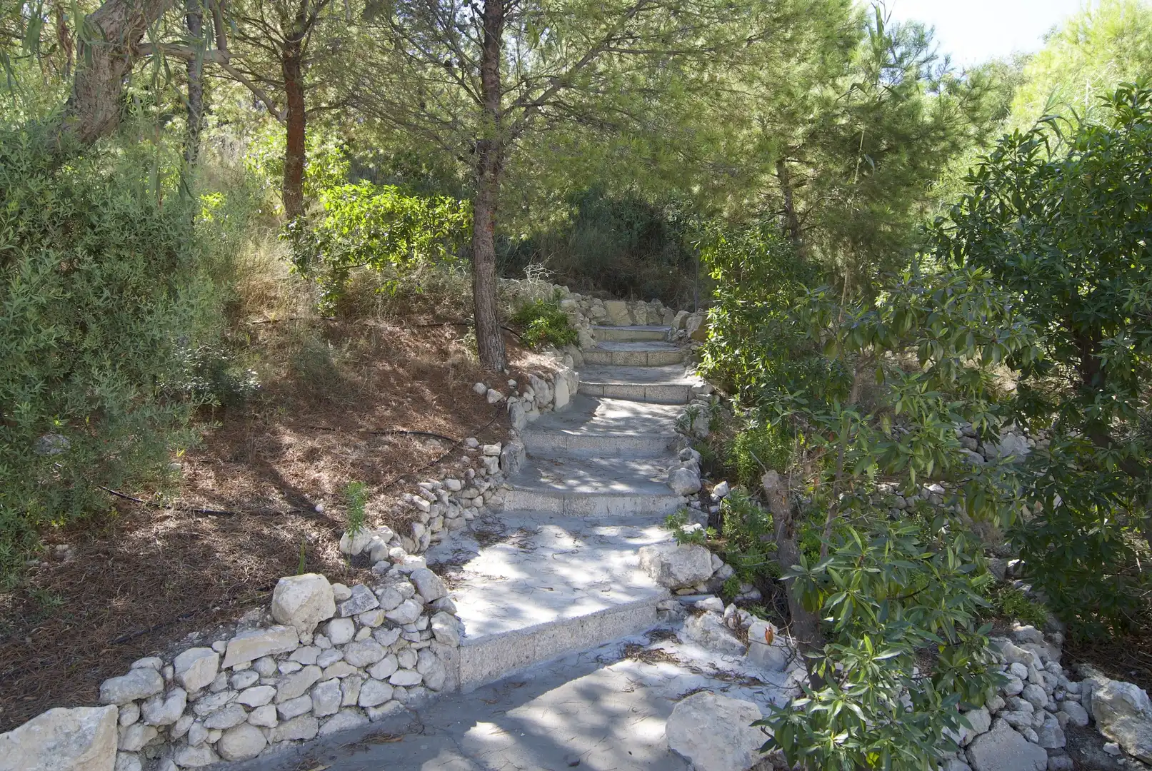 Garden of Houses for sale in El Campello