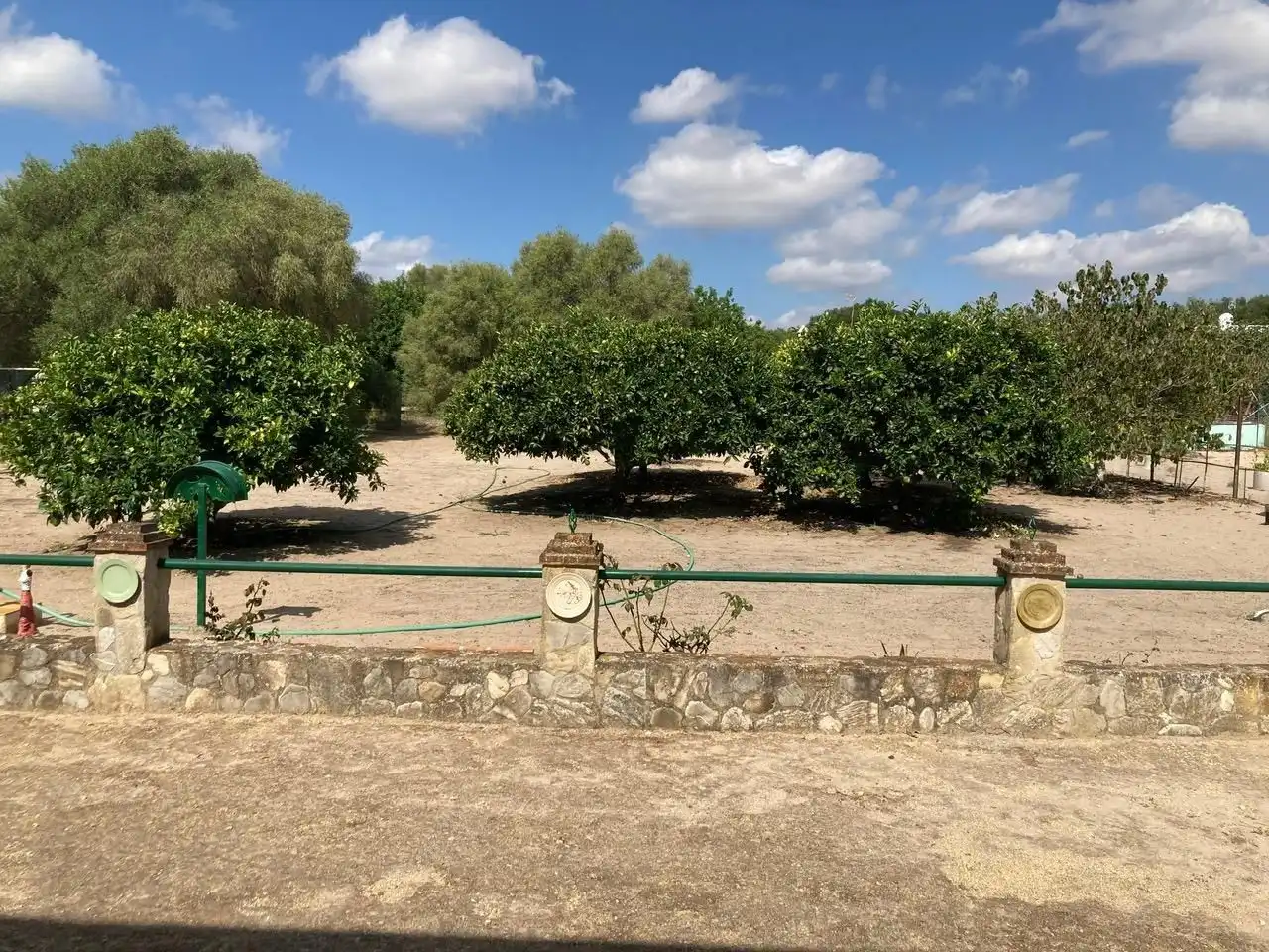 Terrain rustique à vendre à Vereda de Cantarranas 1, imagen 21