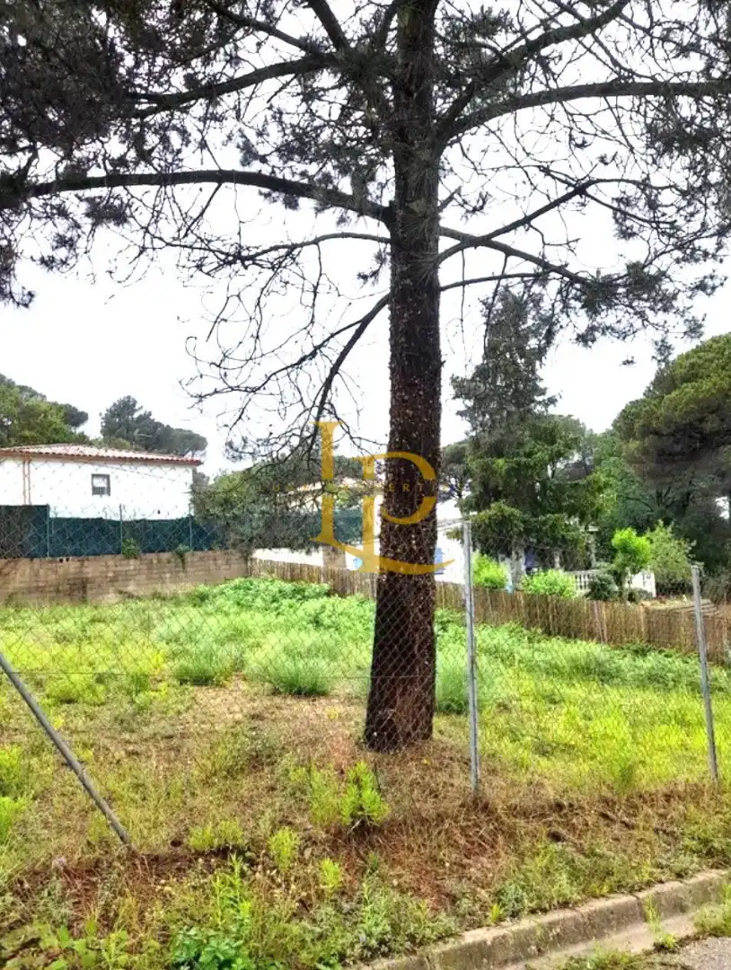 Terreno residencial en venta en Carrer Verge, imagen 3