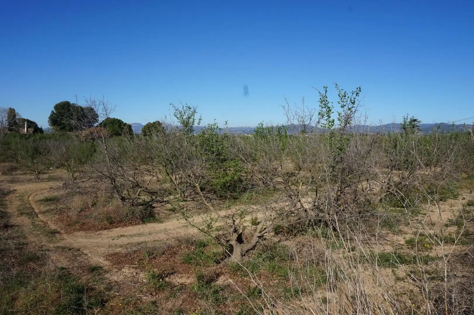 Terrenys i solars en venda a Planes del Roquis, imagen 11