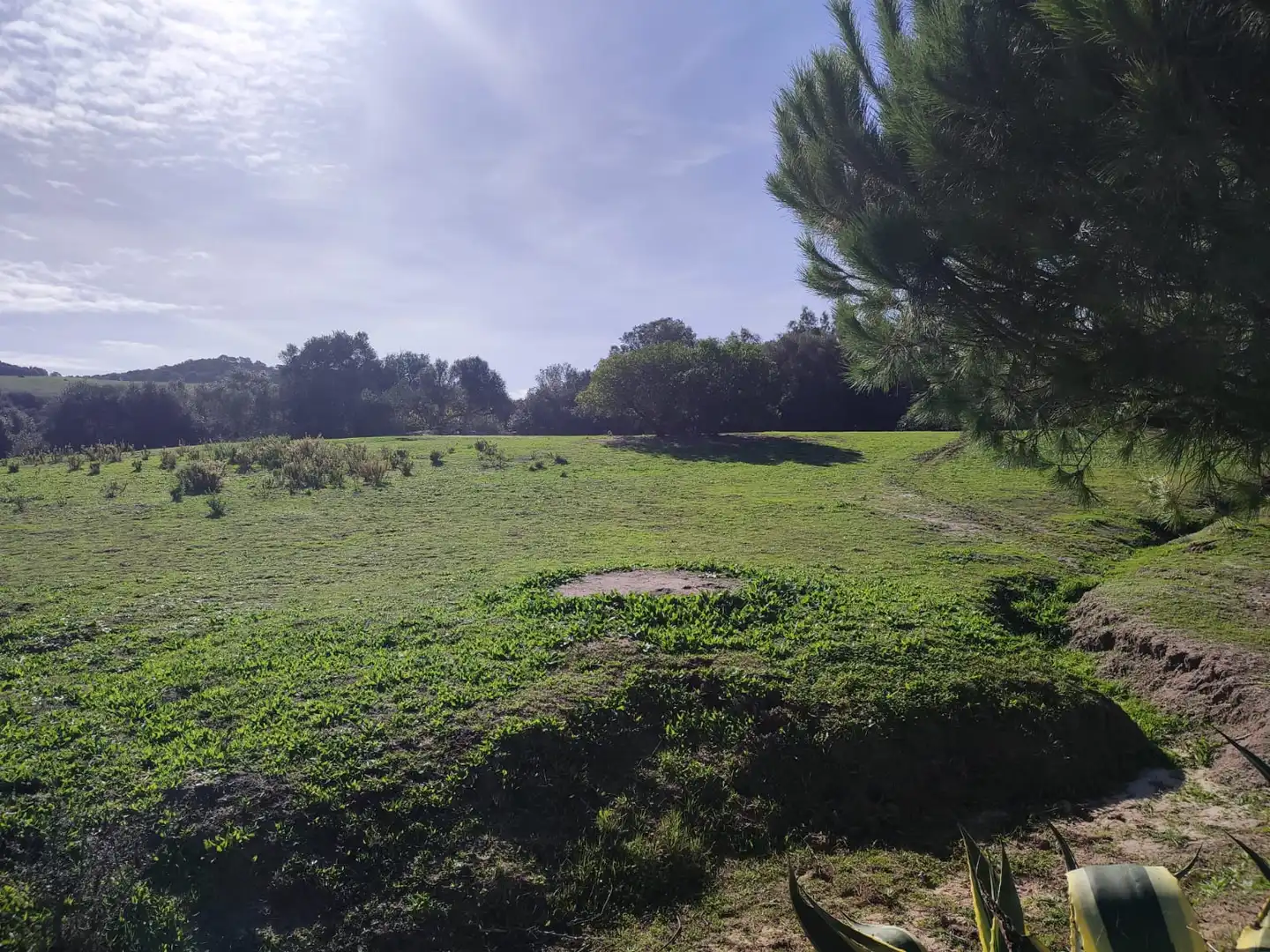 Haus oder Chalet zum Verkauf in Vejer de la Frontera mit Heizung, Privatgarten und Parkett
