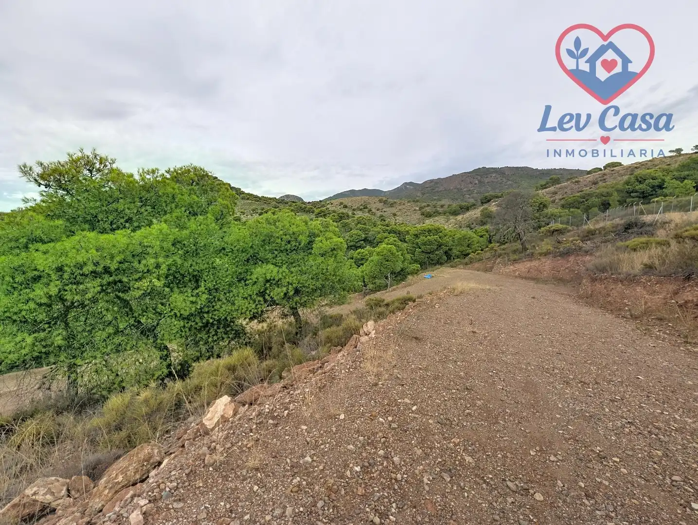 Rustikales Grundstück zum Verkauf in Totana, imagen 11