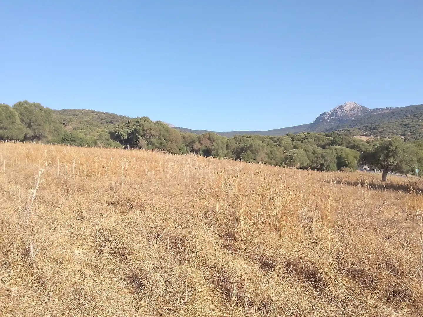 Terreni e lotti in vendita a Ubrique, imagen 19