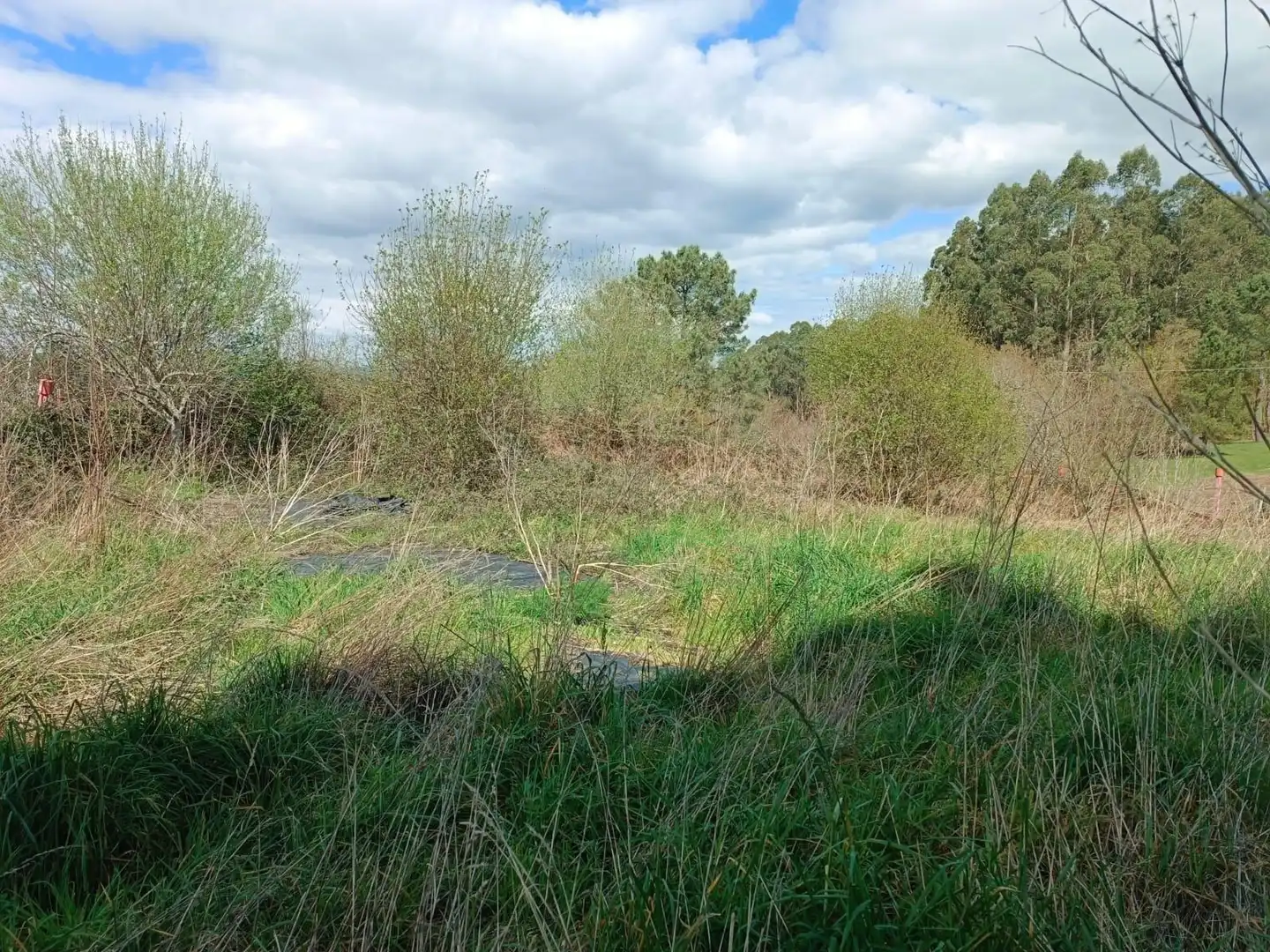Residential land for sale in Calle Muíño, imagen 11