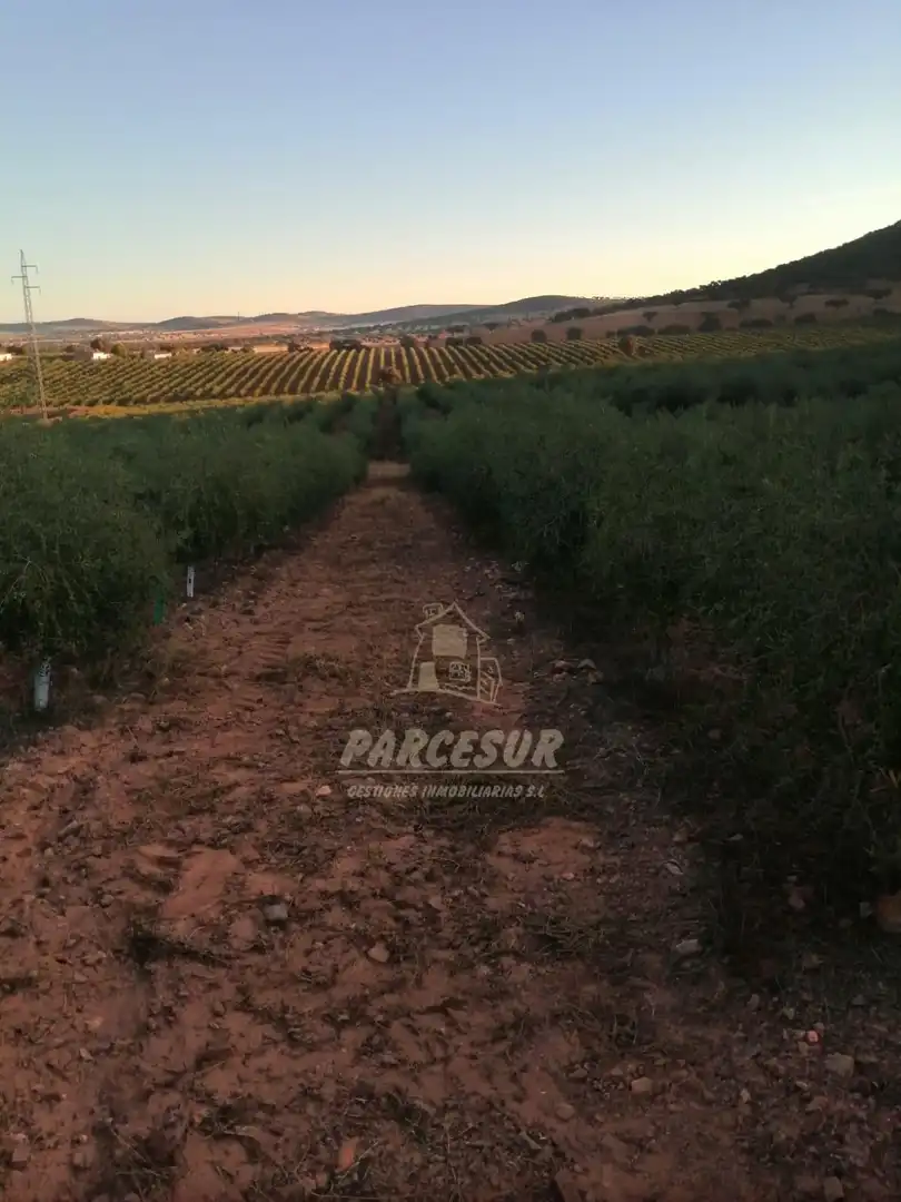 Finca rústica en venda en La Granjuela