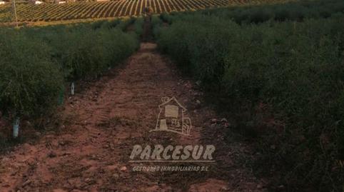 Foto 4 von Country house zum Verkauf in La Granjuela, Córdoba