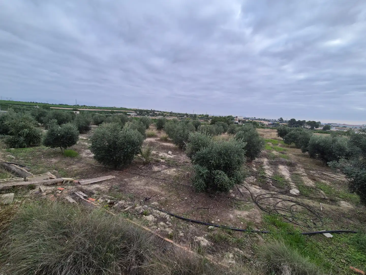 Finca rústica en venda en Las Torres de Cotillas amb Jardí privat, Terrassa i Traster