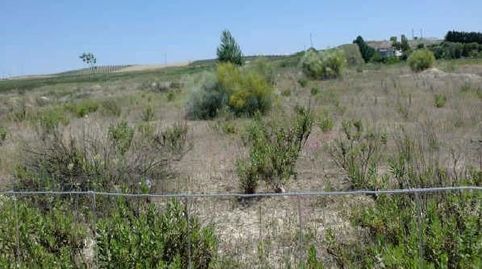 Terreno urbanizable en venta en avda. del ajedrez, Linares, Jaén, imatge 3
