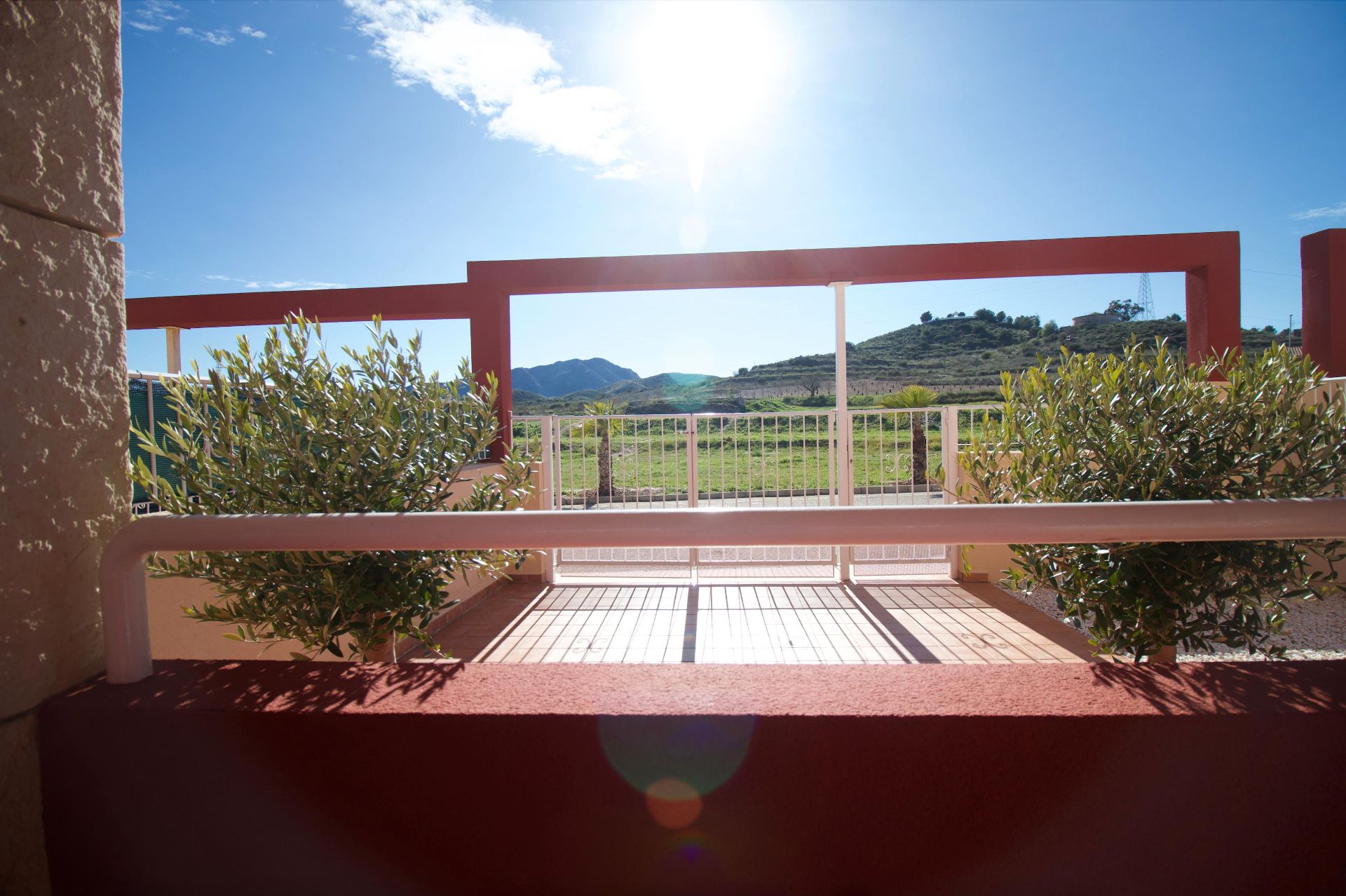 Jardí de Casa o xalet en venda en Fuente Álamo de Murcia amb Jardí privat