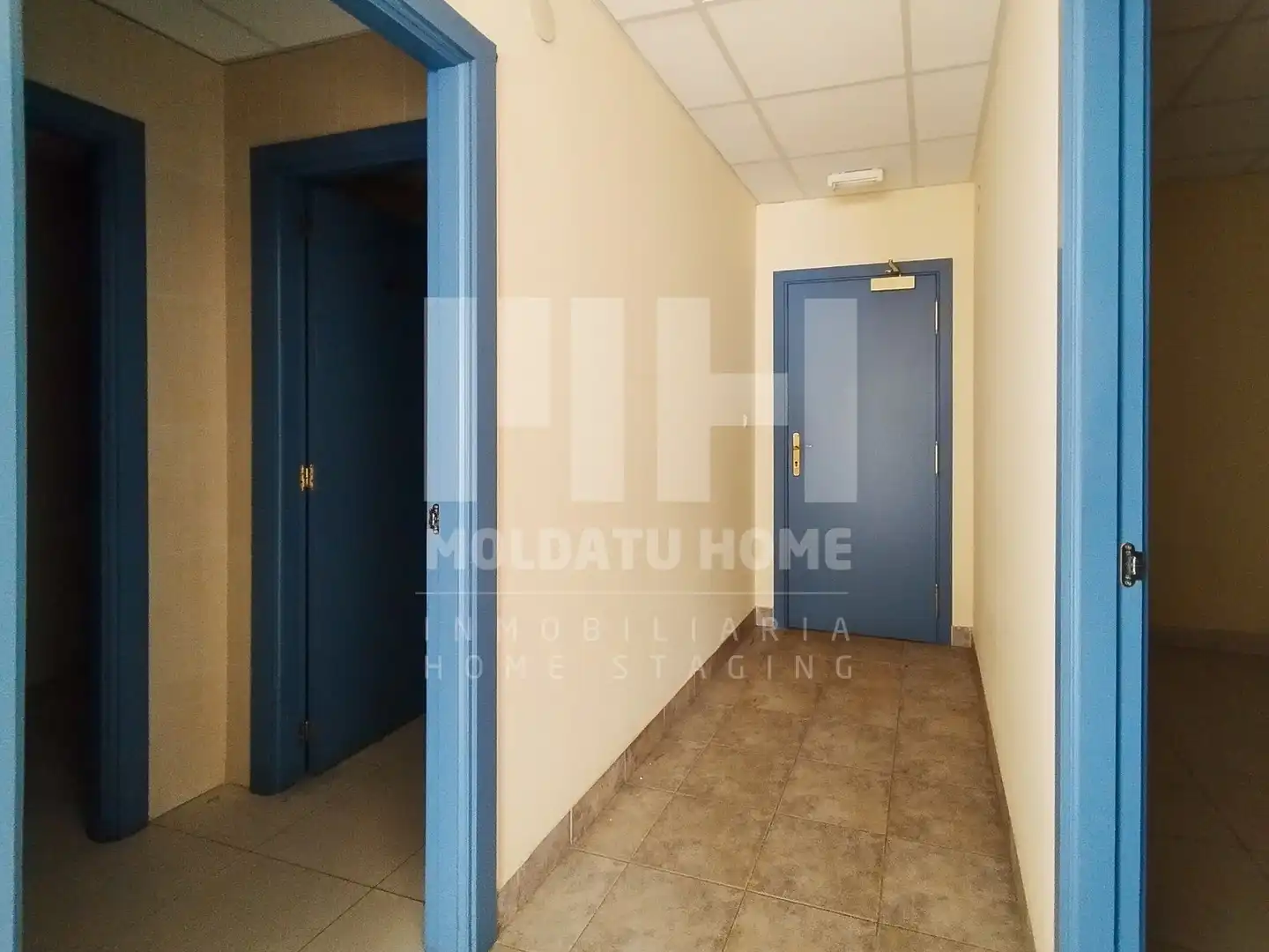 Ufficio in vendita a Lapice - Larreaundi - Olaberria - Meaka, imagen 15