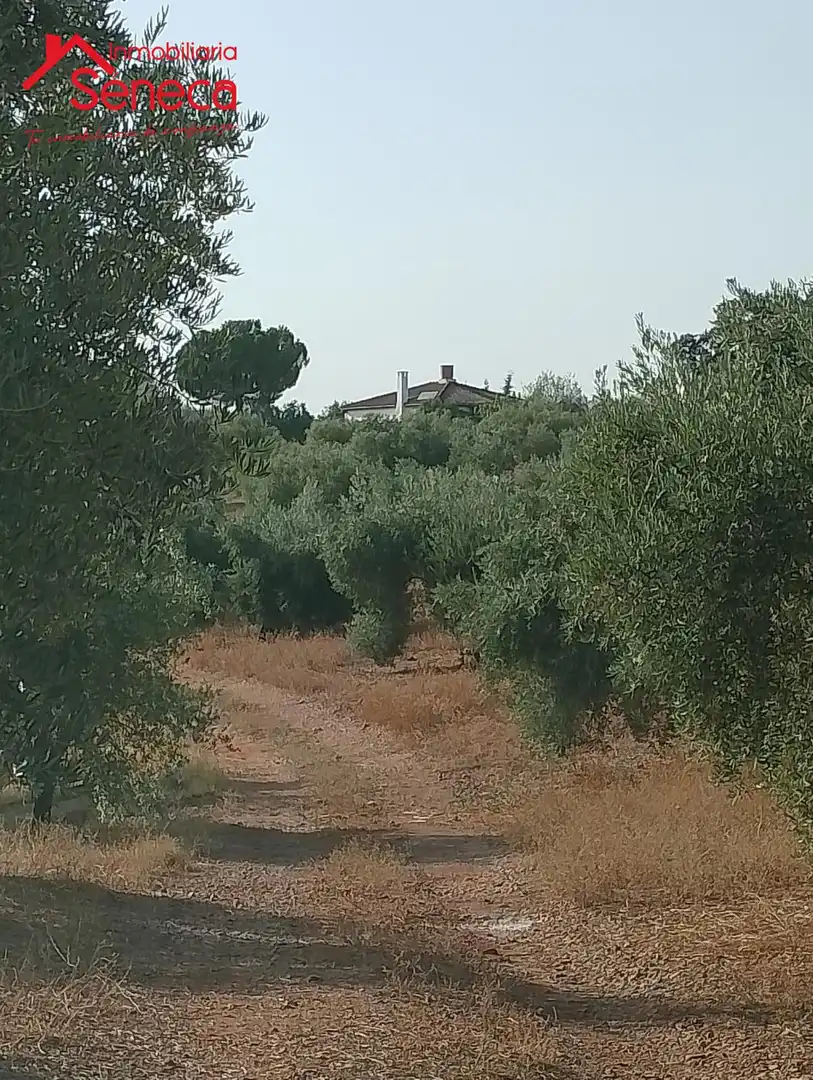 Houses for sale in Montoro  with Air Conditioner and Furnished