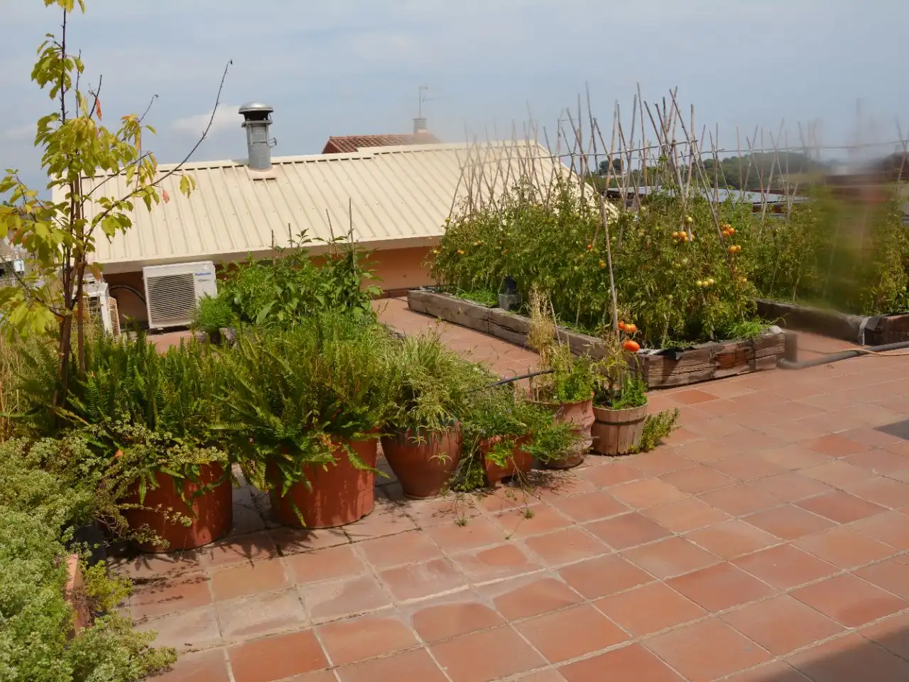 Triplex con giardino in vendita a Avenida de Polinyà 32, imagen 4
