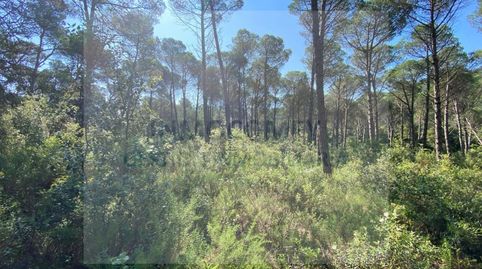 Photo 5 of Land for sale in Poligono Pineda Pals -ampliacio-, Platja de Pals, Pals