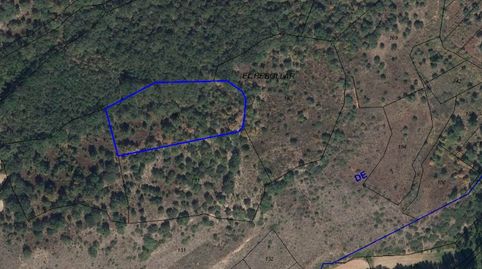 Finca de secano
