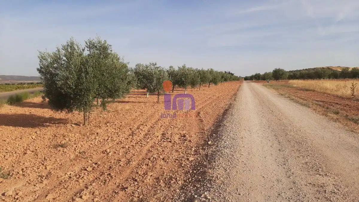 Casa rústica en venda a Valdepeñas, imagen 51