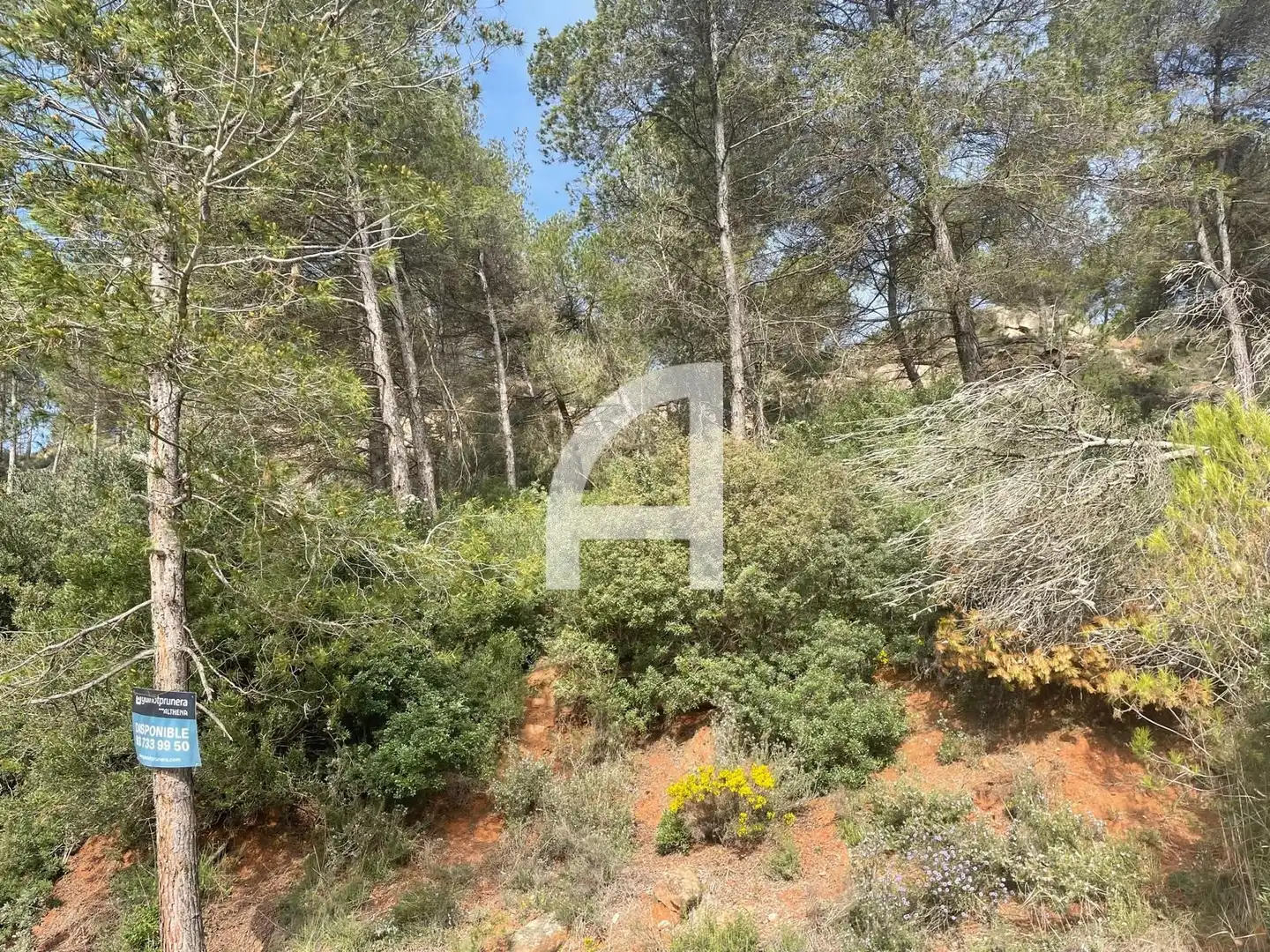 Rural land for sale in Ronda del Bosc, imagen 4