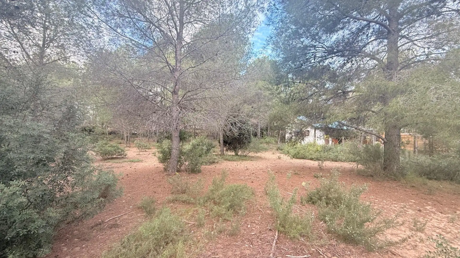 Terreny residencial en venda a Albalat dels Tarongers, imagen 7