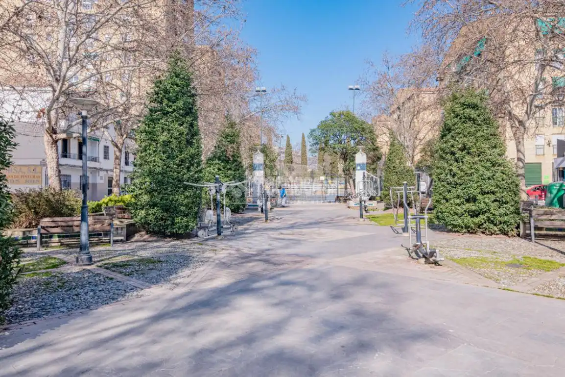 Flat for sale in Angustias - Chana - Encina