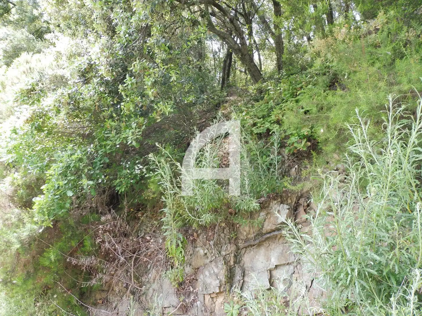 Terreny rústic en venda a Serra de Sant Feliu del Racó, imagen 2