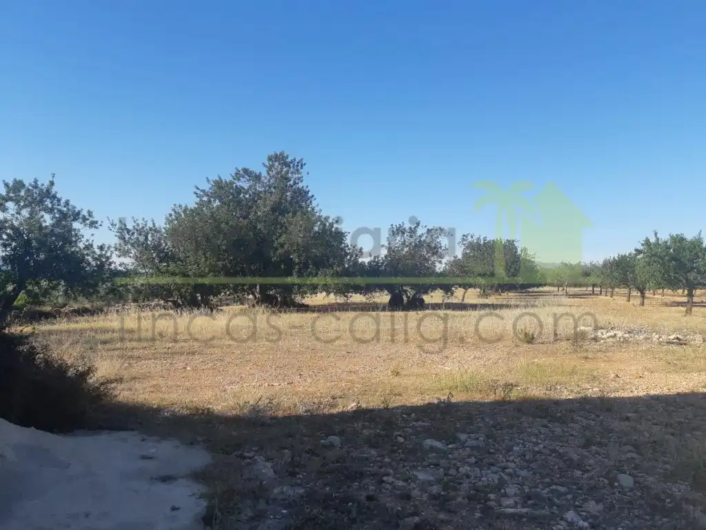 Terreno residencial en venta en Pueblo, imagen 5