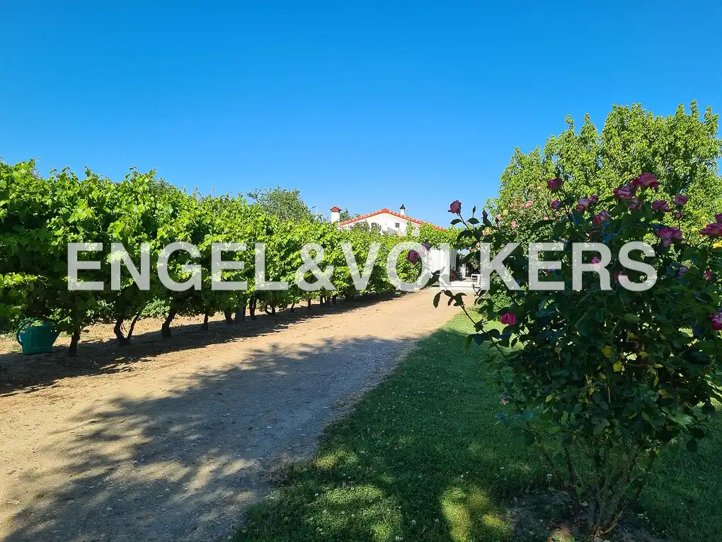 Casa o xalet en venda en Fuente El Saz de Jarama amb Calefacció, Jardí privat i Terrassa
