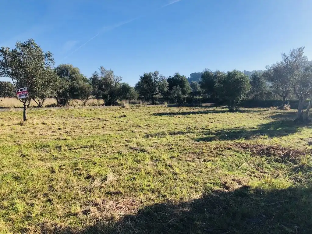 Terreny rústic en venda a Orba, imagen 3