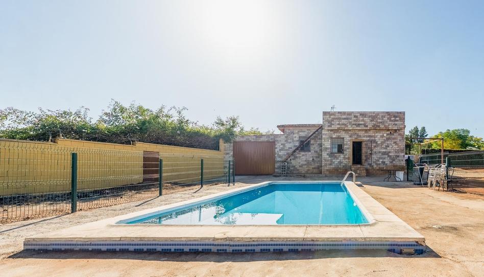 Photo 1 of House or chalet for sale in  Raso Espejo, Carmona, Sevilla