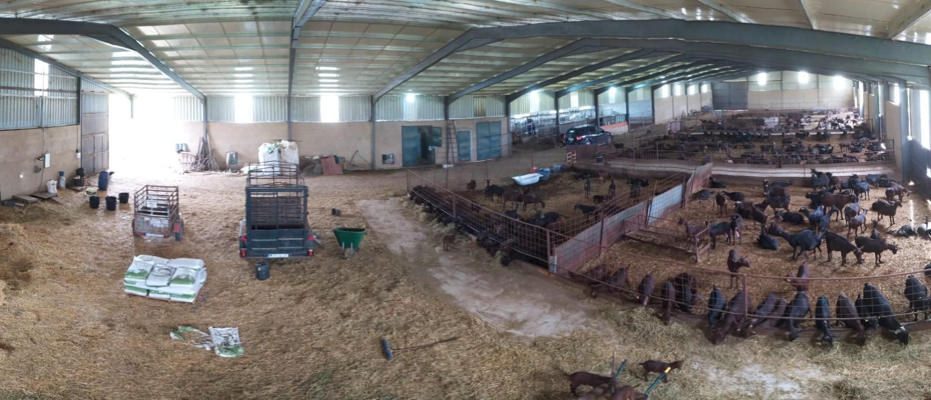 Aparcament de Casa o xalet en venda en Brozas