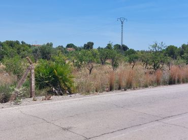 Terrain rustique à vendre à Partida Cabec Bort 4