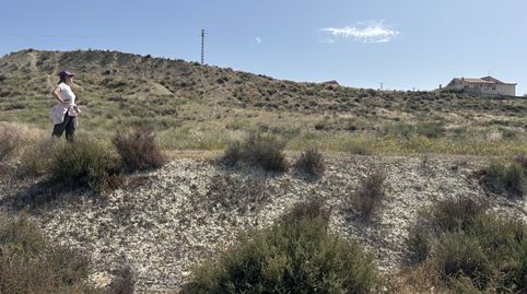 Foto 5 de Terreno en venta en Camino del Río, 26, Corazón de María, Lorca
