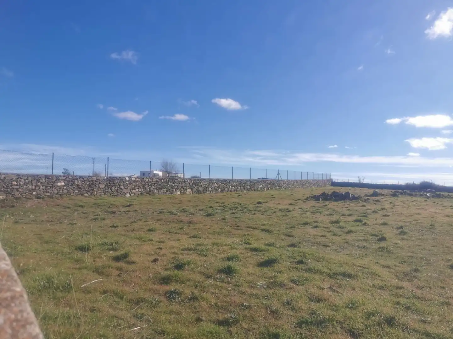 Land for sale in Cespedosa de Tormes