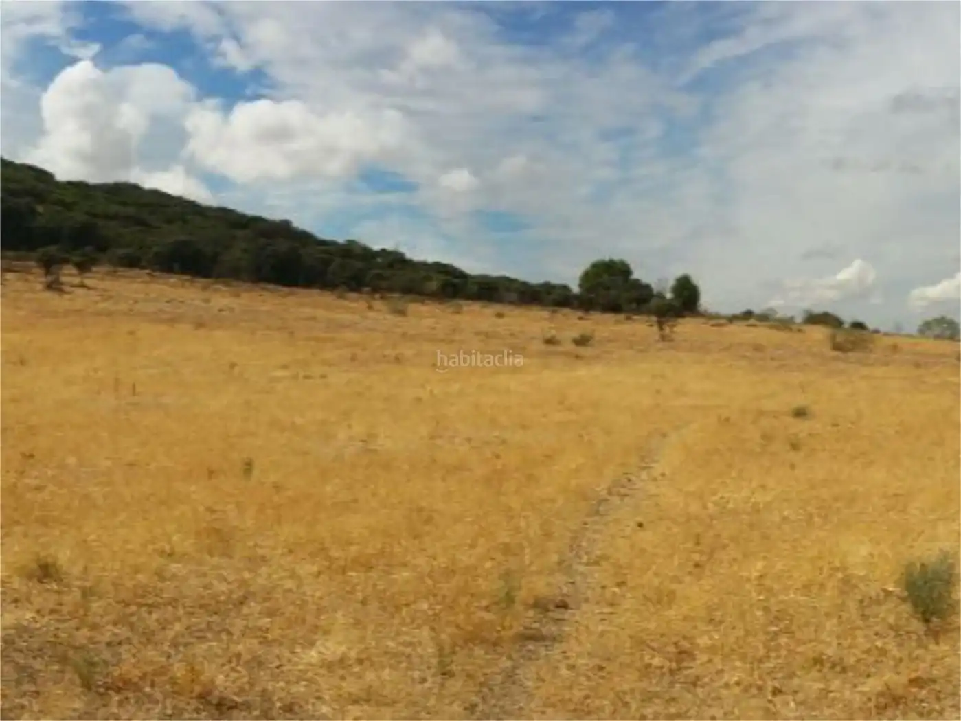 Haus zum Verkauf in Camino de la Isabela 76, imagen 11