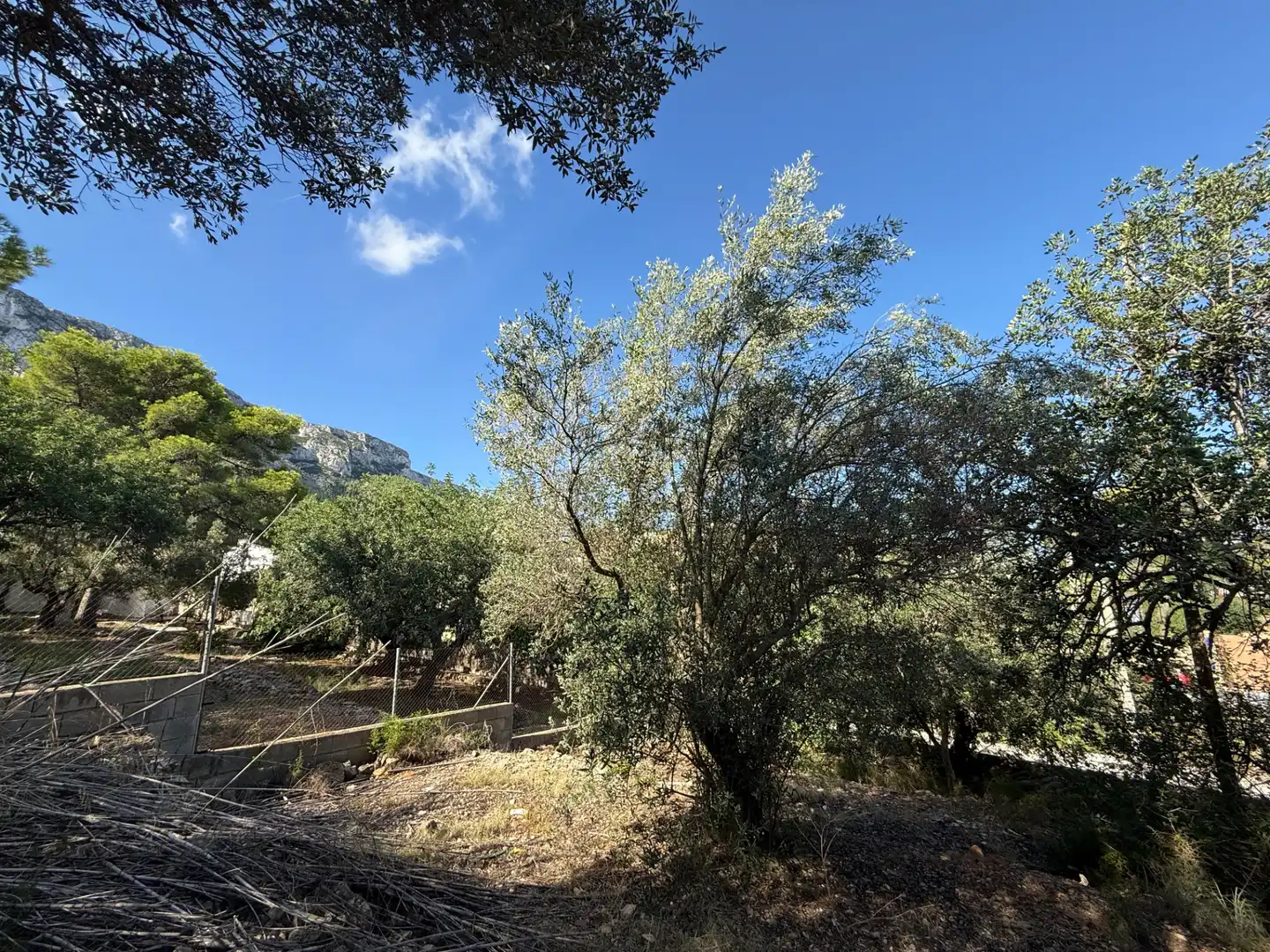 Villa con giardino in vendita a El Montgó, imagen 10