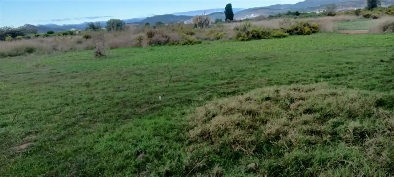 Terrain rustique à vendre à PROC. SIMPLIFICADO, imagen 4