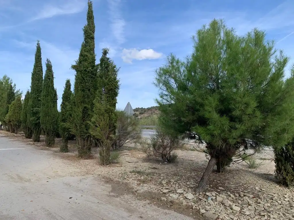 Residencial en venda a BUENAVISTA D (BUEN), 3, Alhama de Granada