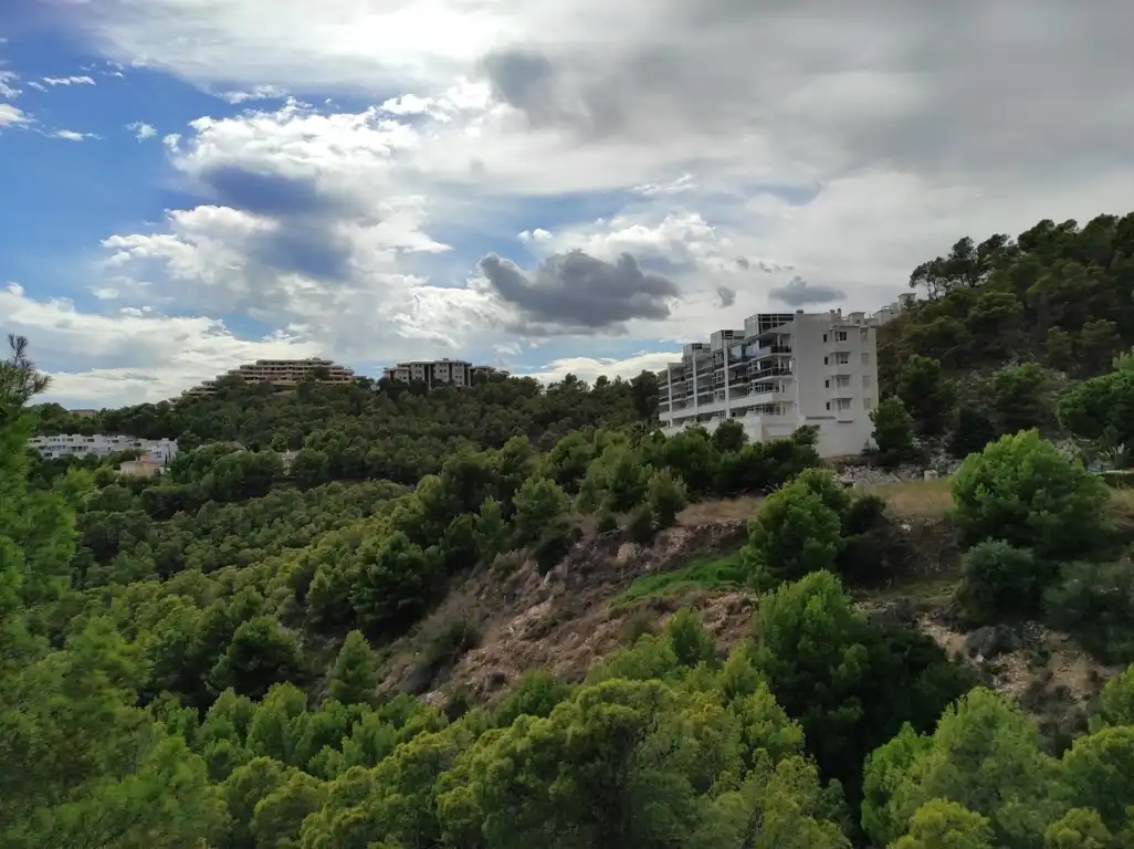 Terrain résidentiel à vendre à PRINCIPAL DE LA SIERRA, imagen 9