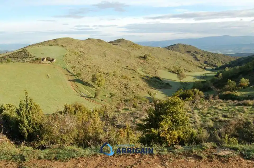 Casa o chalet en venta en La Moraleja con Jardín privado