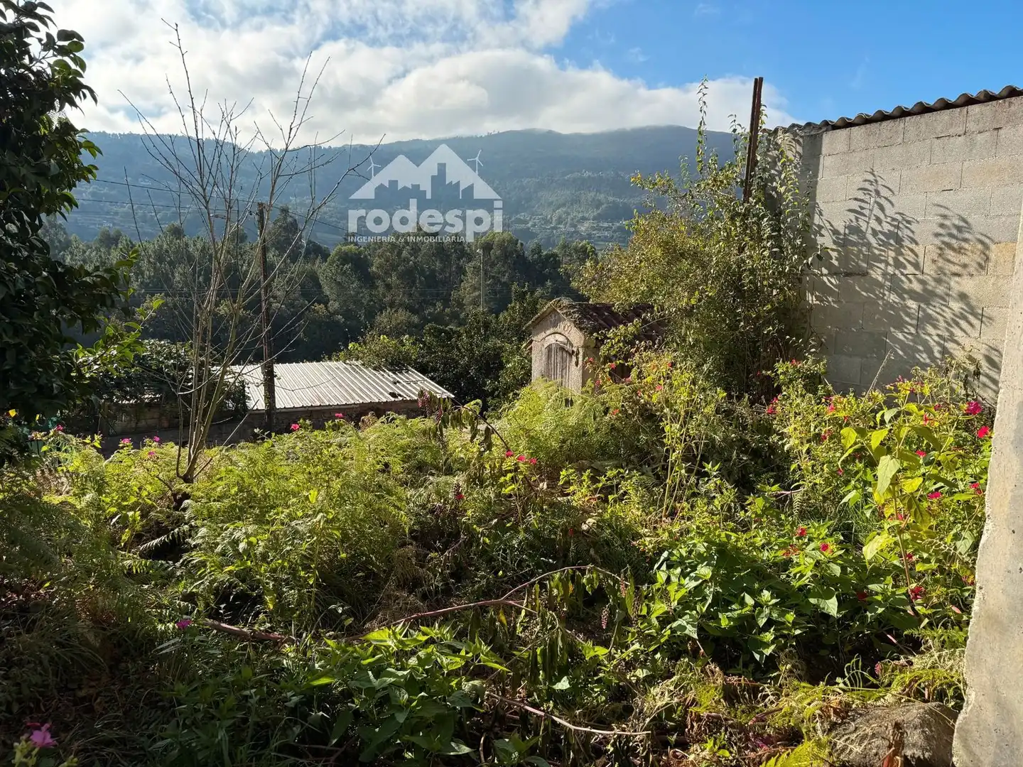 Maison à vendre à Crecente, imagen 18