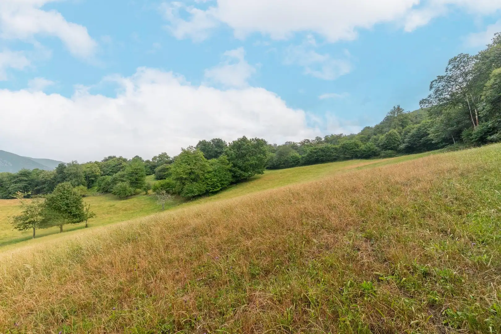 Finca rústica en venta en Sobrescobio con Jardín privado, Terraza y Amueblado