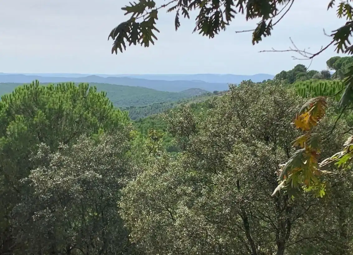 Casa o chalet en venta en Calera de León con Jardín privado, Terraza y Amueblado